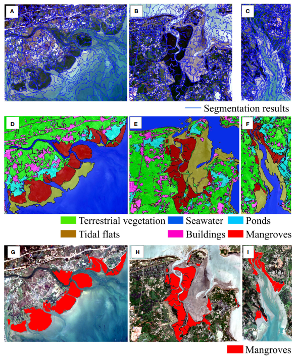 2025年新澳门原料网站