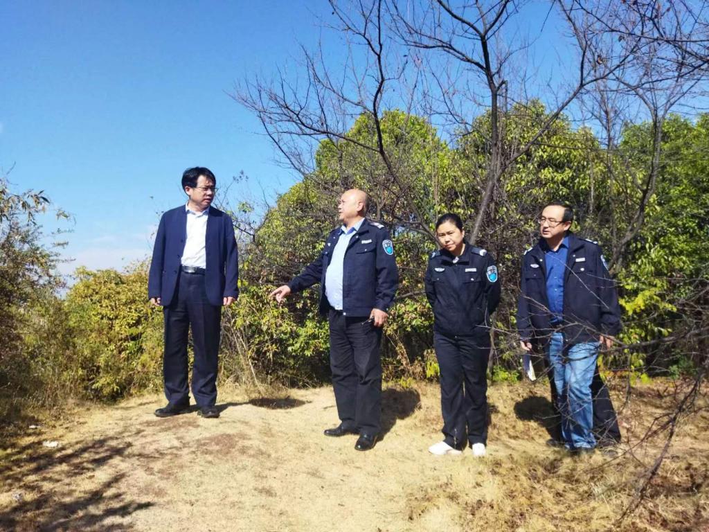 2025年新澳门原料网站