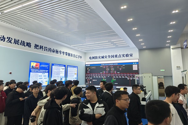 2025年新澳门原料网站