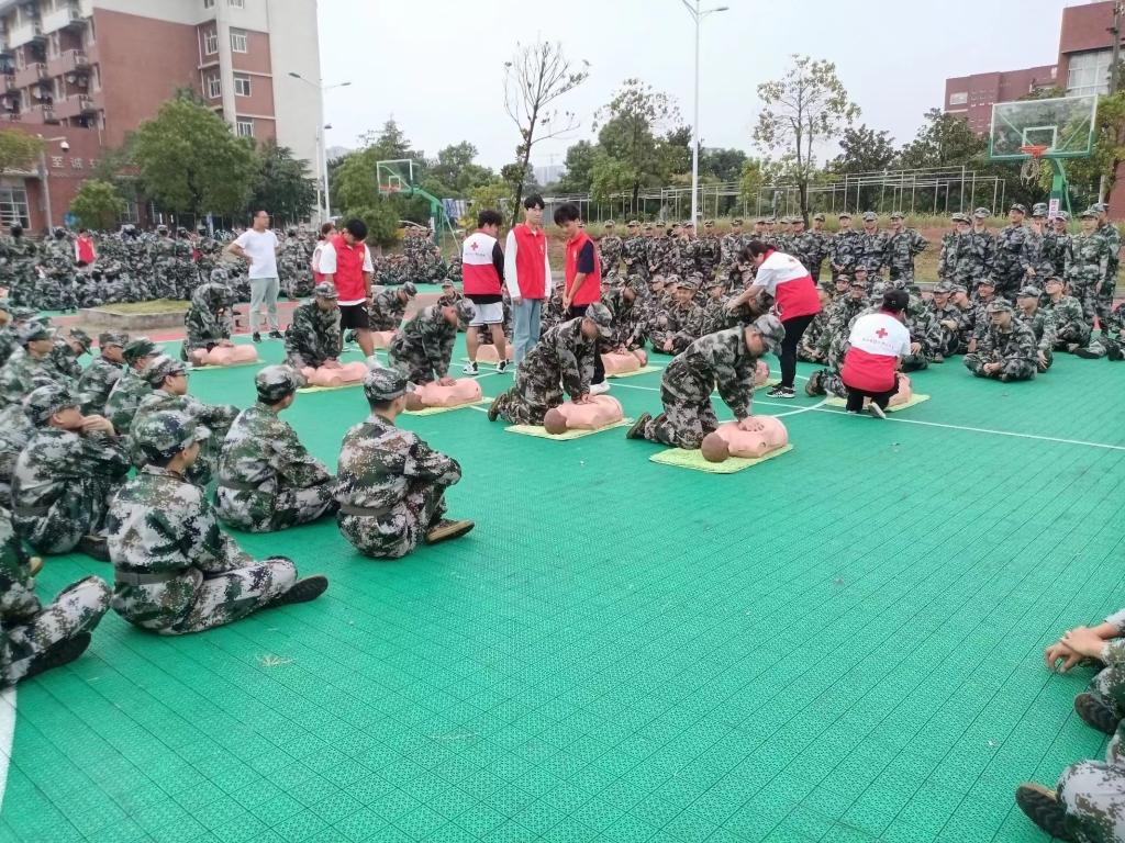 2025年新澳门原料网站