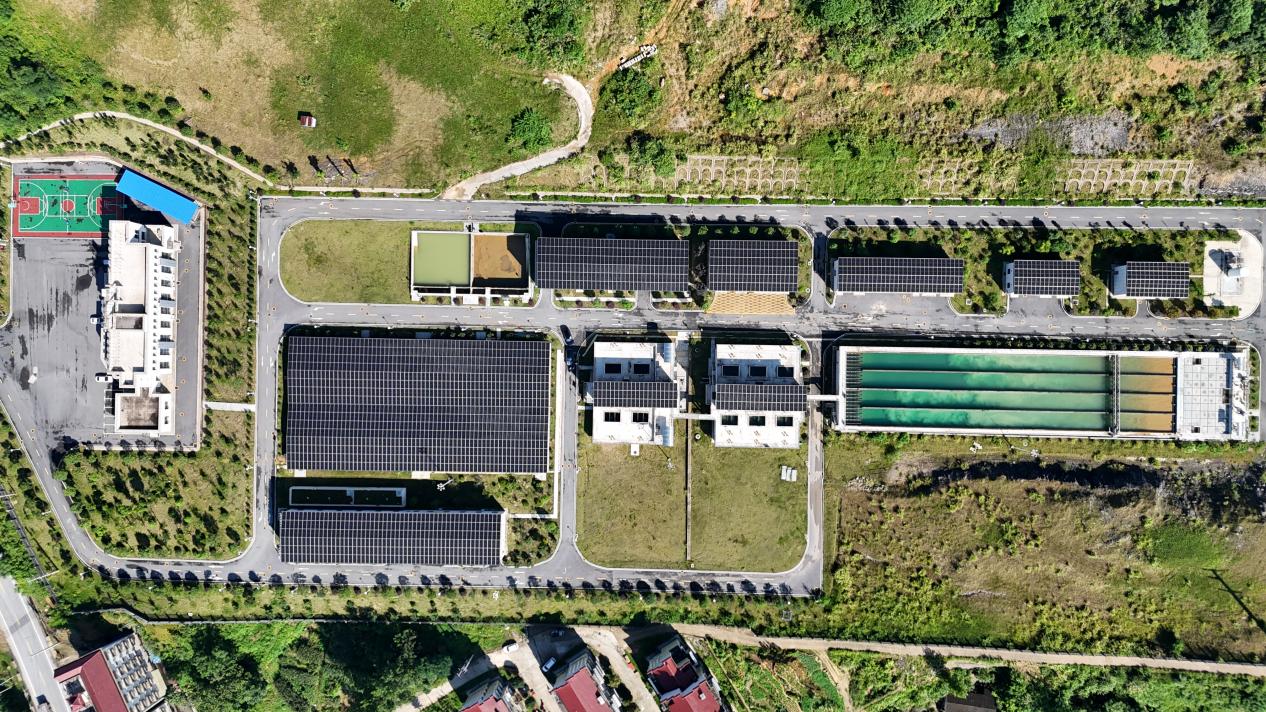 2025年新澳门原料网站