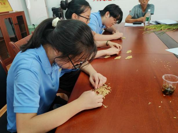 2025年新澳门原料网站