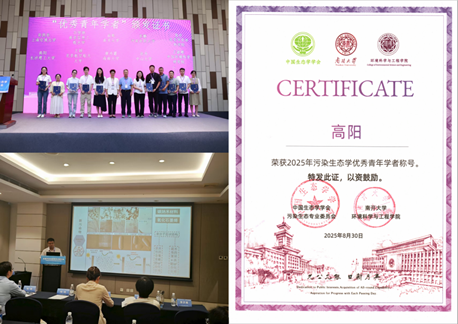 2025年新澳门原料网站
