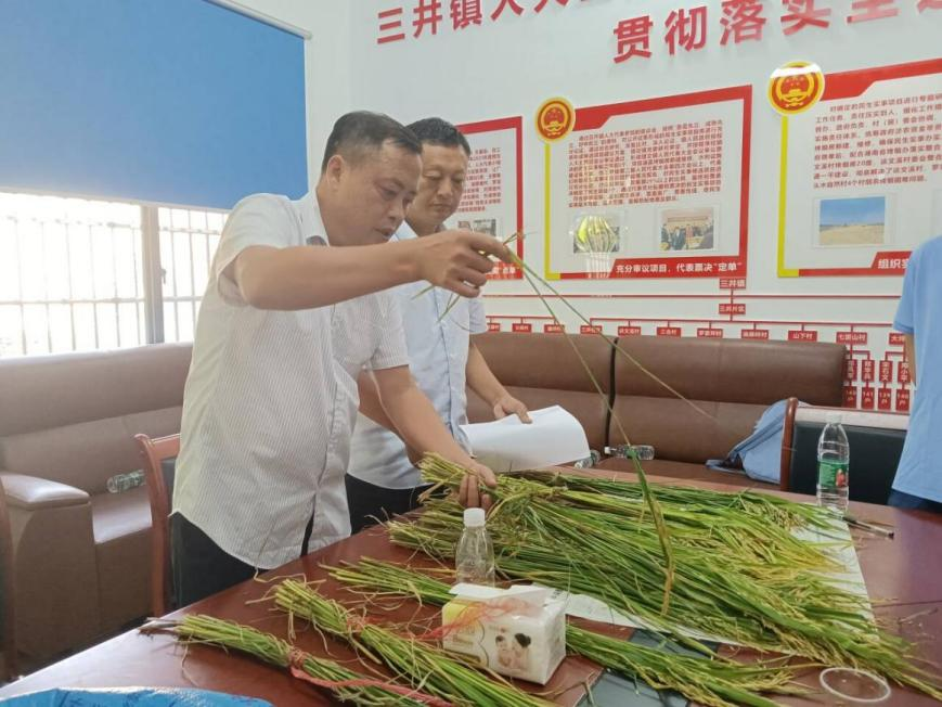 2025年新澳门原料网站