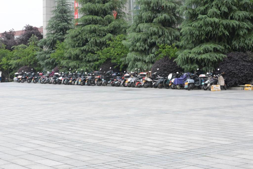 2025年新澳门原料网站