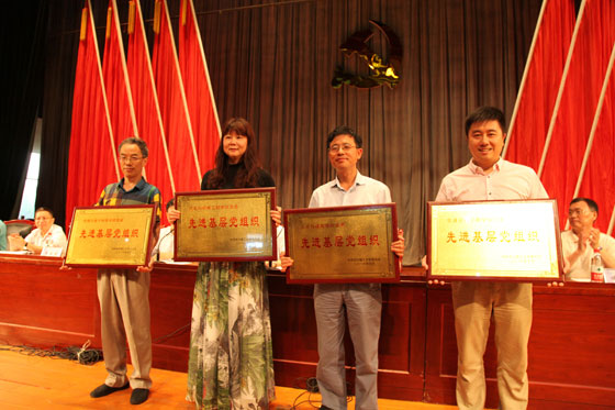 2025年新澳门原料网站